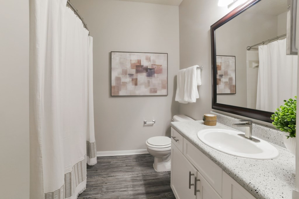 A bathroom with a toilet, sink, and mirror. at Madison Shelby Farms, Memphis, Tennessee