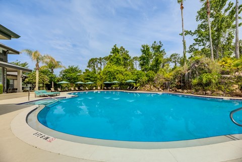 A large blue swimming pool surrounded by trees and a building.