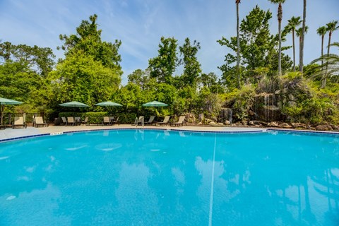 A swimming pool surrounded by trees and palm trees.