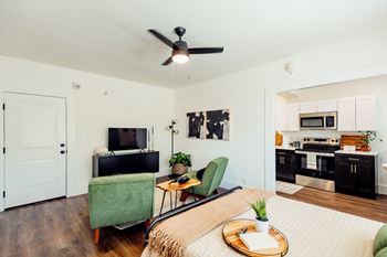 Studio Living Area at Parkview Apartments, Memphis, 38104