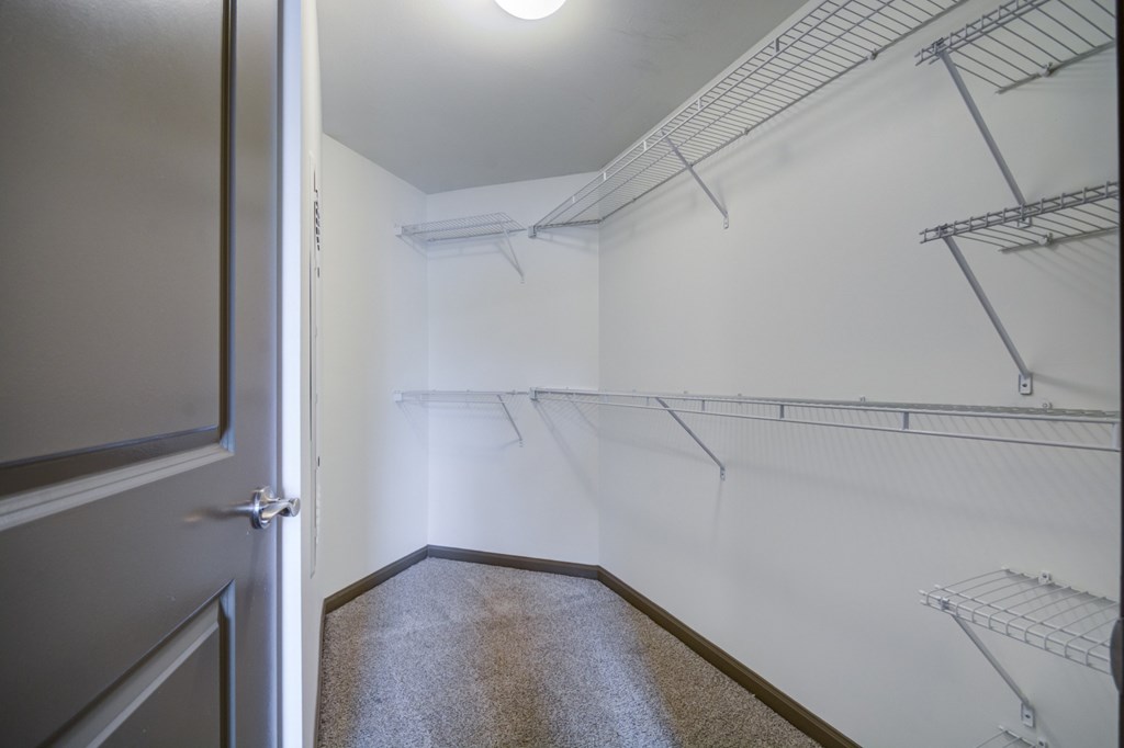 A walk in closet with a brown carpet and white walls.