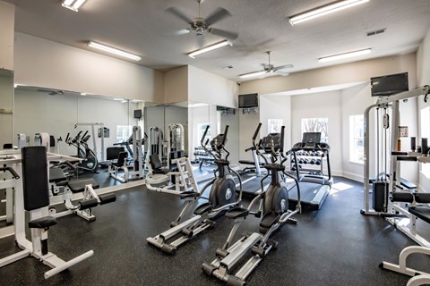 Trailside at Greenline spacious gym with a variety of equipment including treadmills, weights, and exercise machines.