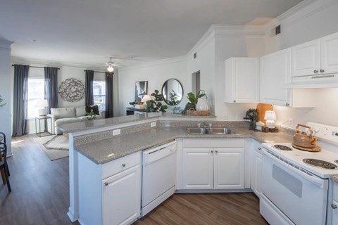 Elegant And Timeless Kitchen at Trailside at Greenline, Cordova, Tennessee