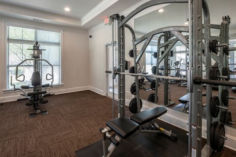 A gym with a squat rack, bench, and weights.