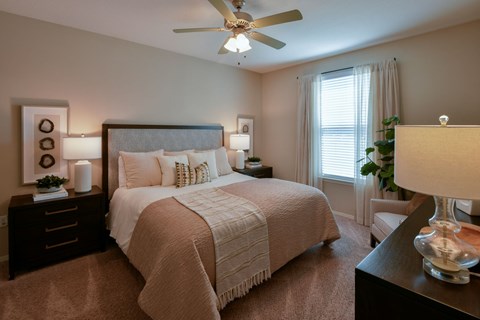 A bedroom with a large bed, a ceiling fan, and a nightstand with a lamp.