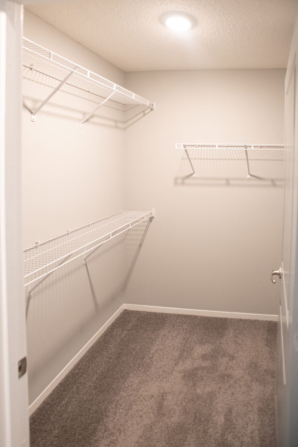 Generous closet at Grand Island Apartments, Tennessee, 38103