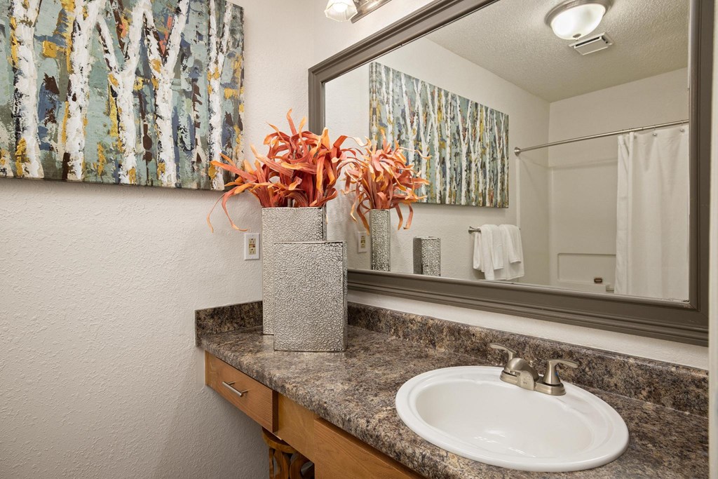 Renovated Bathrooms With Quartz Counters at Hampton Woods, Kansas