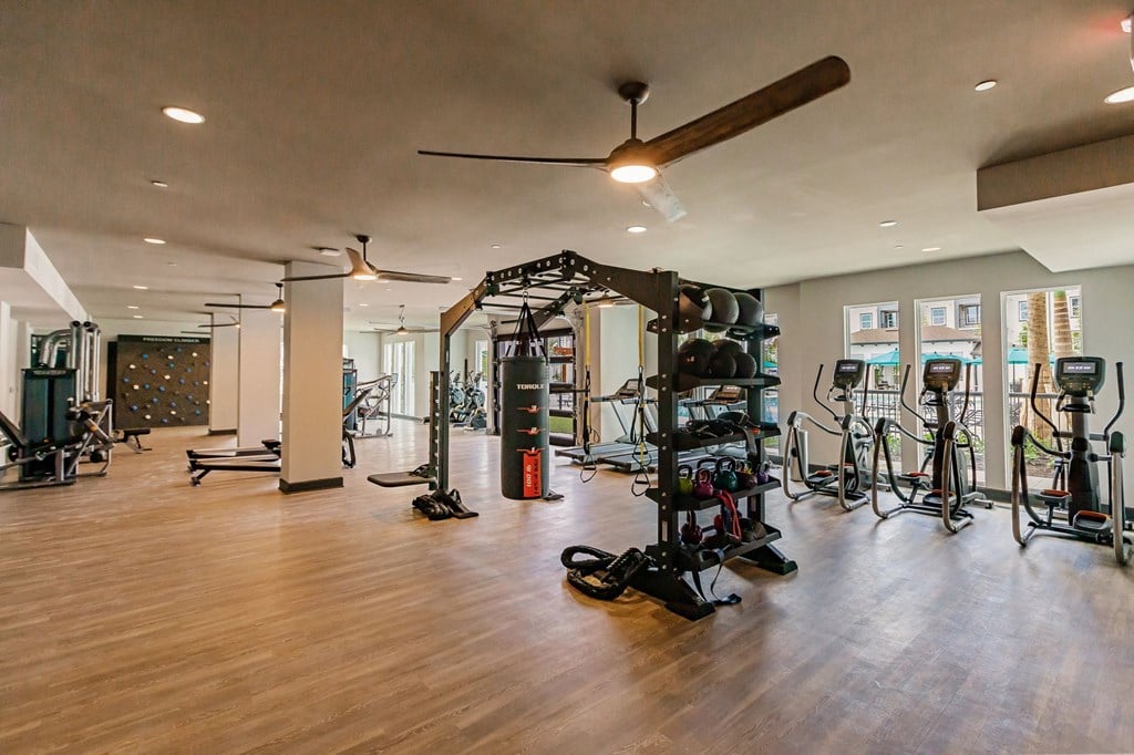 Modern fit studio Modern fit studio at Harrison Apartments, Sarasota, FL, 34243