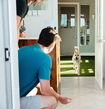 a man looking at his dog running through a door at Livano Avondale, Avondale, AZ 85323