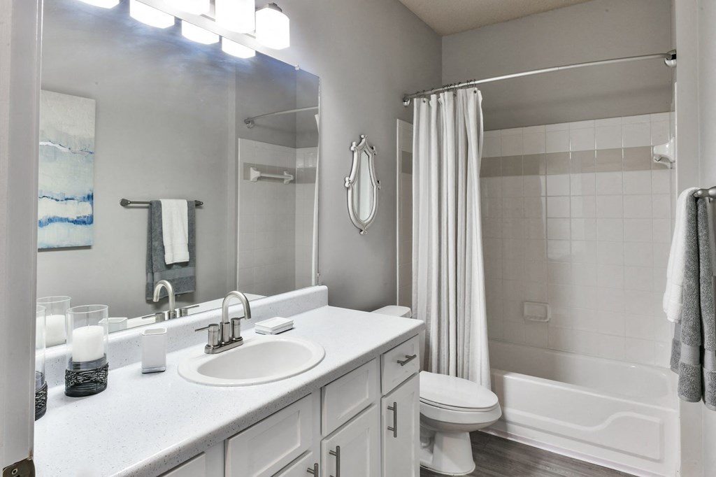 a bathroom with a sink and a shower and a toilet