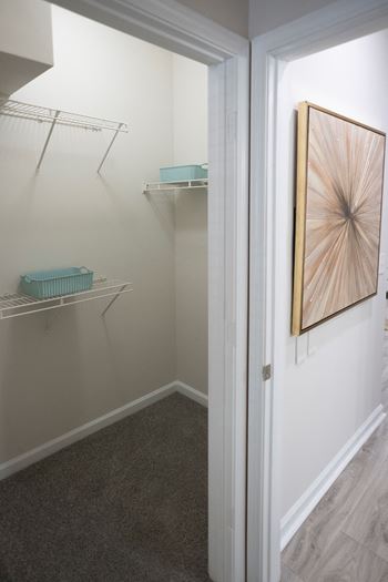 Large Walk-In Closets