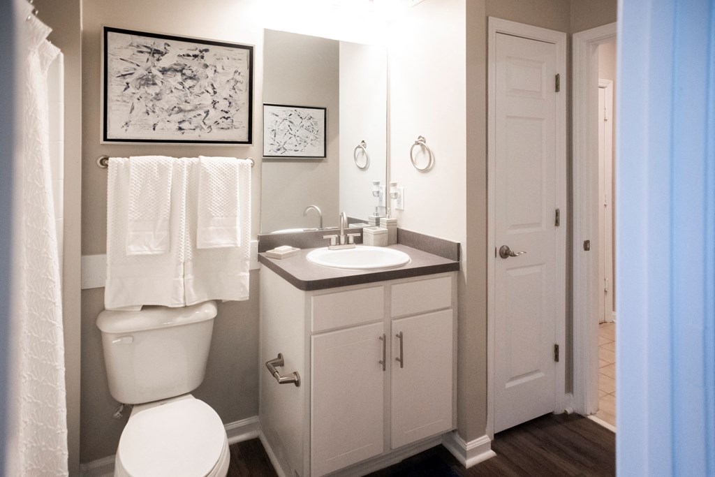 Bathroom with Vanity and Mirror at One Rocky Ridge Apartment, Georgia