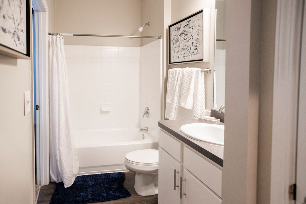 Bathroom with Shower Tub   at One Rocky Ridge Apartment, Georgia