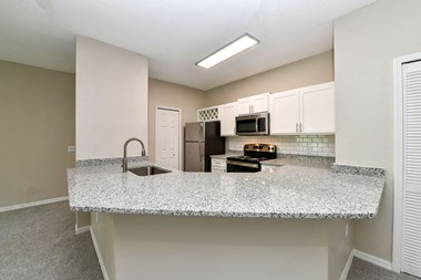 7651 Paradise Island Blvd 1 Bed Apartment for Rent - Photo Gallery 2