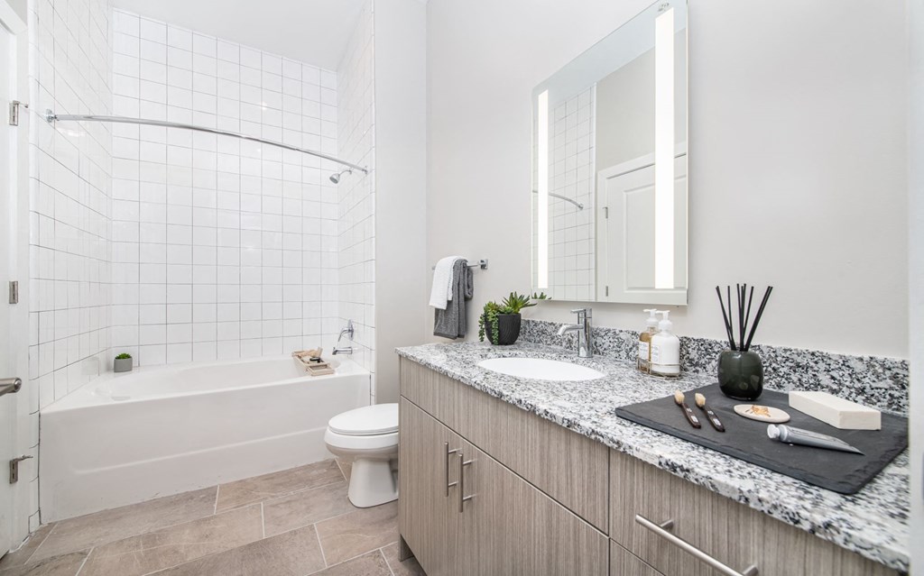 a bathroom with a sink and a toilet and a shower