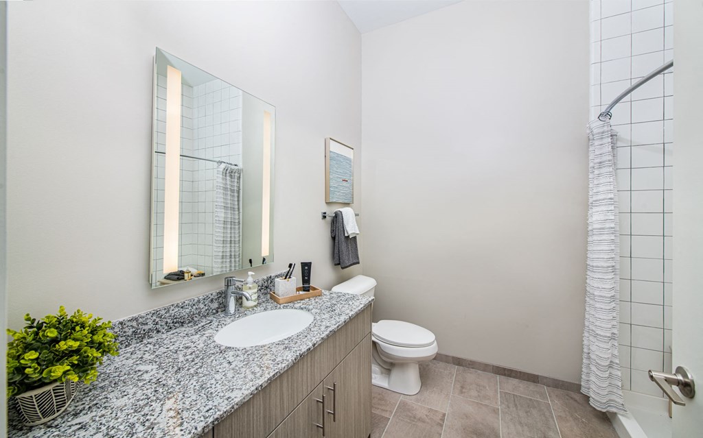 a bathroom with a sink and a toilet and a shower