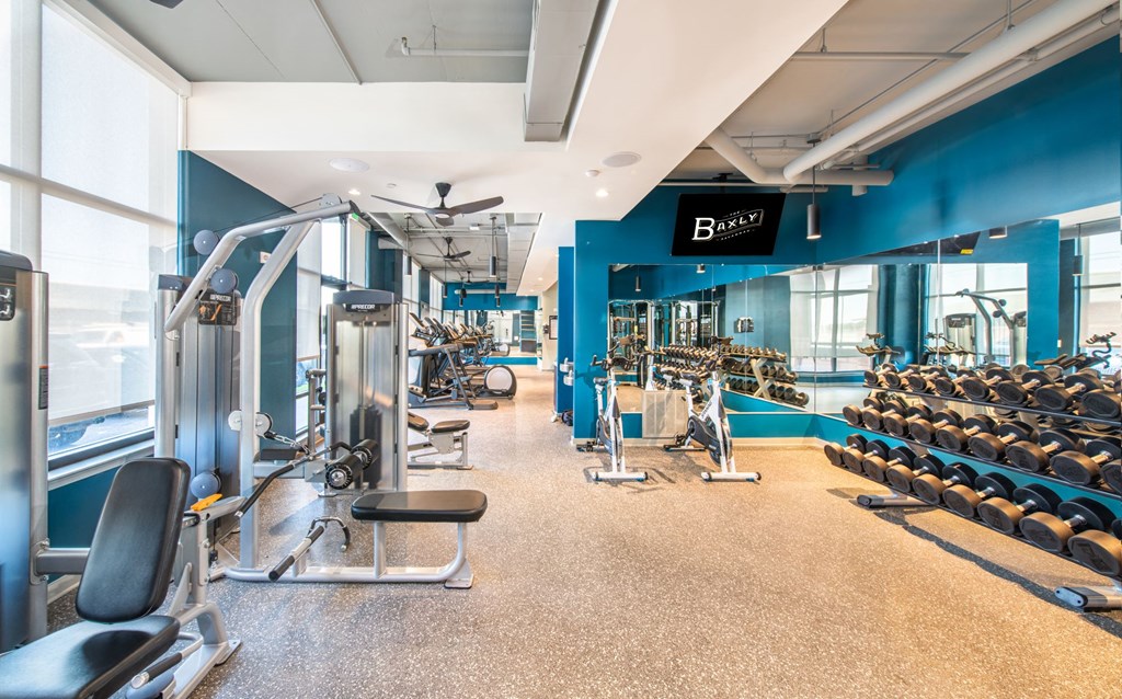 a gym with cardio equipment and weights on the floor and a blue wall with windows