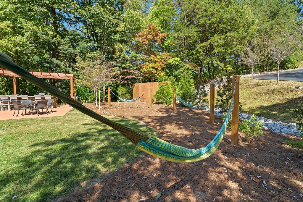Hammock Area at Rise at Signal Mountain, Chattanooga, TN, 37405