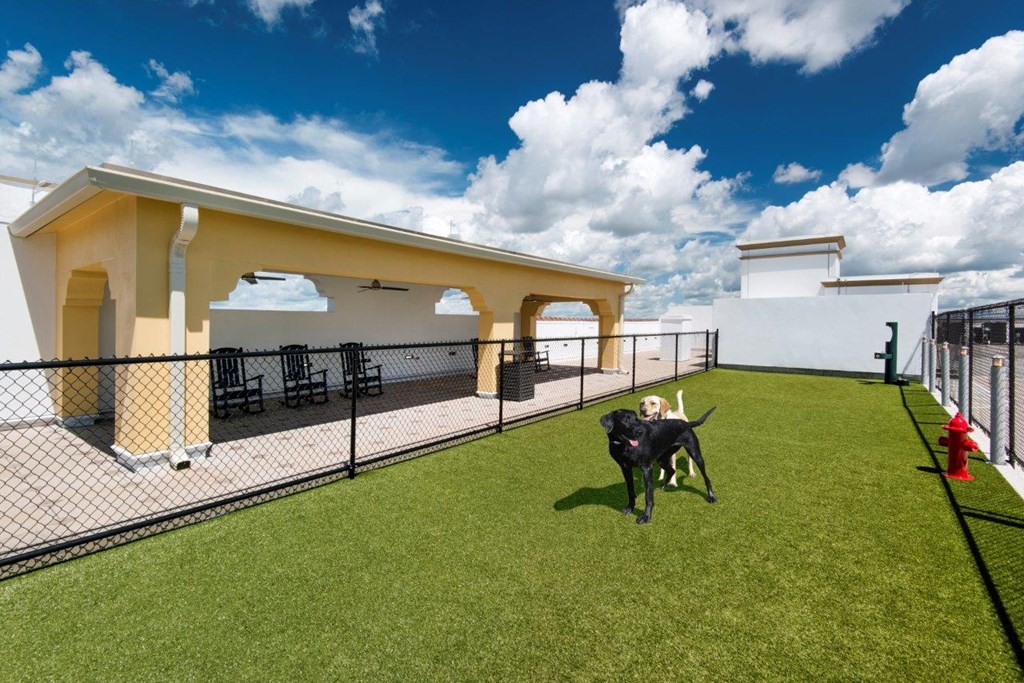 Dog park at Maitland City Centre, Maitland, 32751