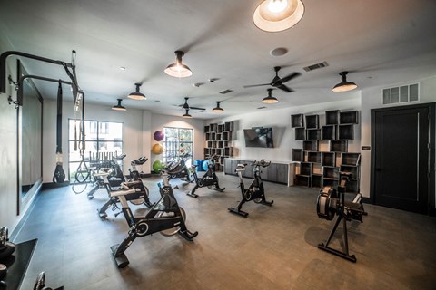 cardio theater with excercise bikes