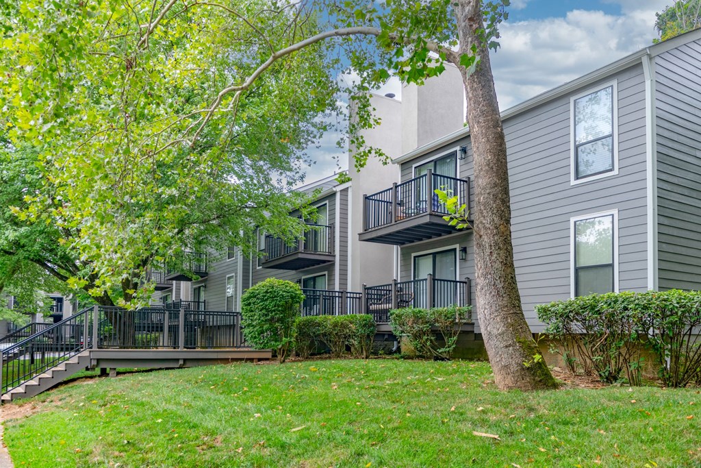 A tree is in front of a grey building.