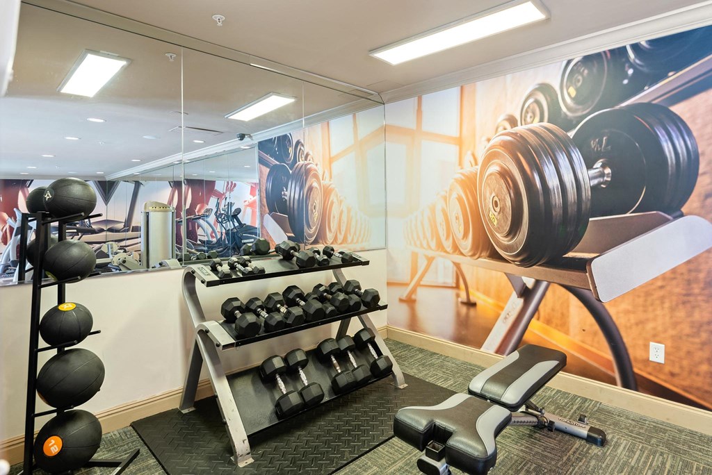 Fitness Center free weights Sugarloaf Crossing Apartments, Lawrenceville GA 30046