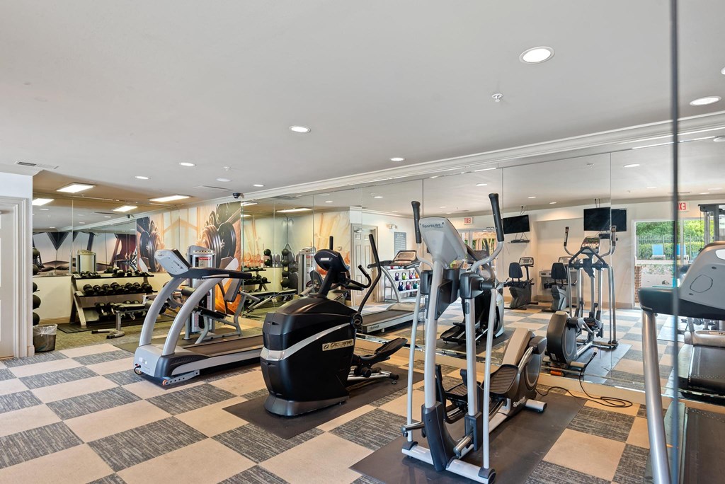 Fitness Center cardio equipment  Sugarloaf Crossing Apartments, Lawrenceville GA 30046