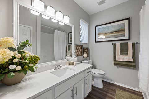 A bathroom with a white sink and a large mirror. at The Ambrose, Houston, Texas