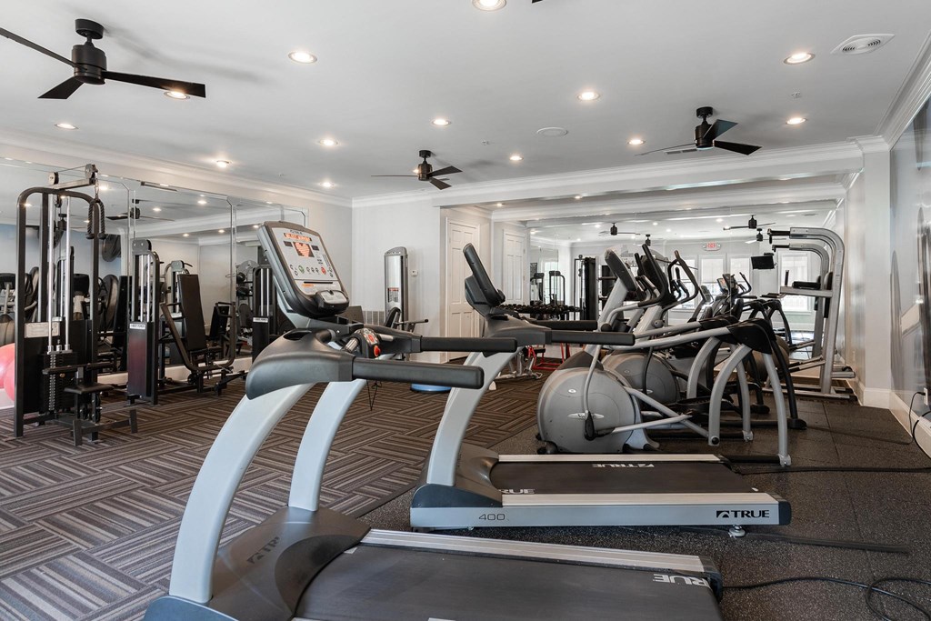 Fitness Center  at The Berkeley Apartments, Georgia, 30096