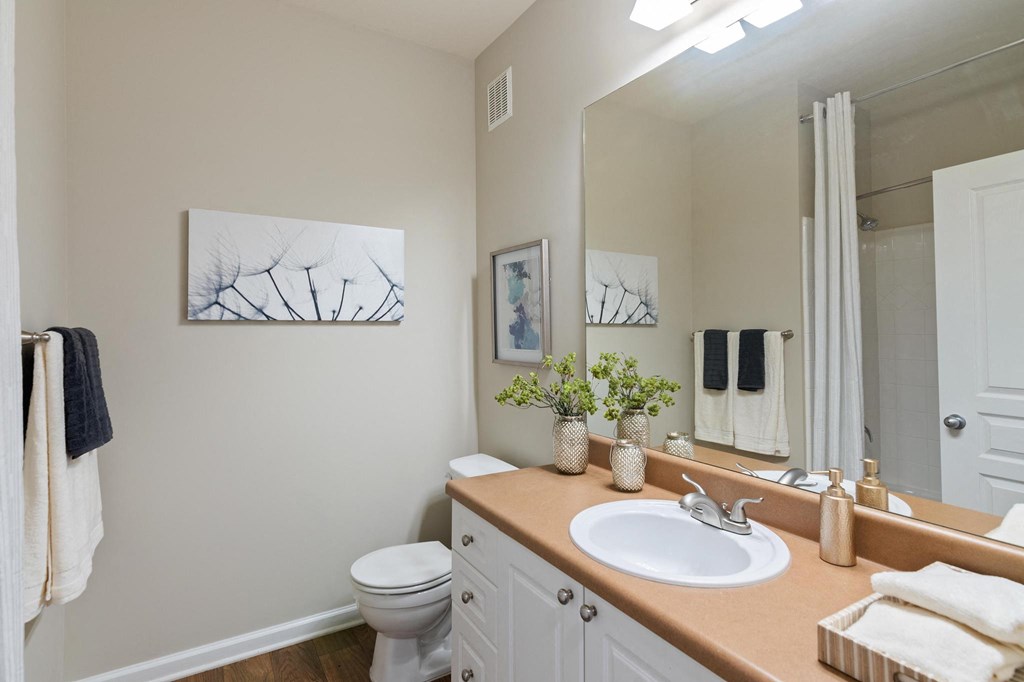 Guest bathroom   at The Berkeley Apartments, Georgia, 30096