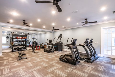 A gym with treadmills, elliptical machines, and other exercise equipment.
