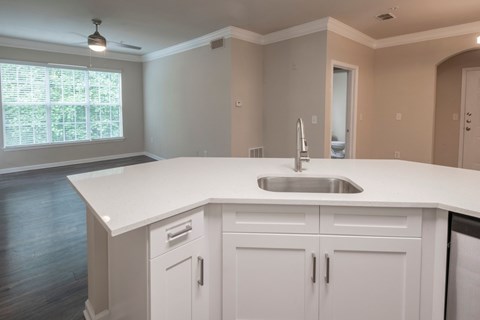 A kitchen with white cabinets and a countertop.