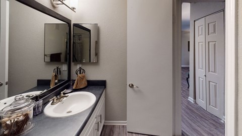 a bathroom with a sink and a mirror