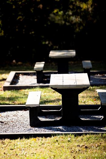 Picnic Benches located at Venue at Carrolton in Carrolton, GA 30117