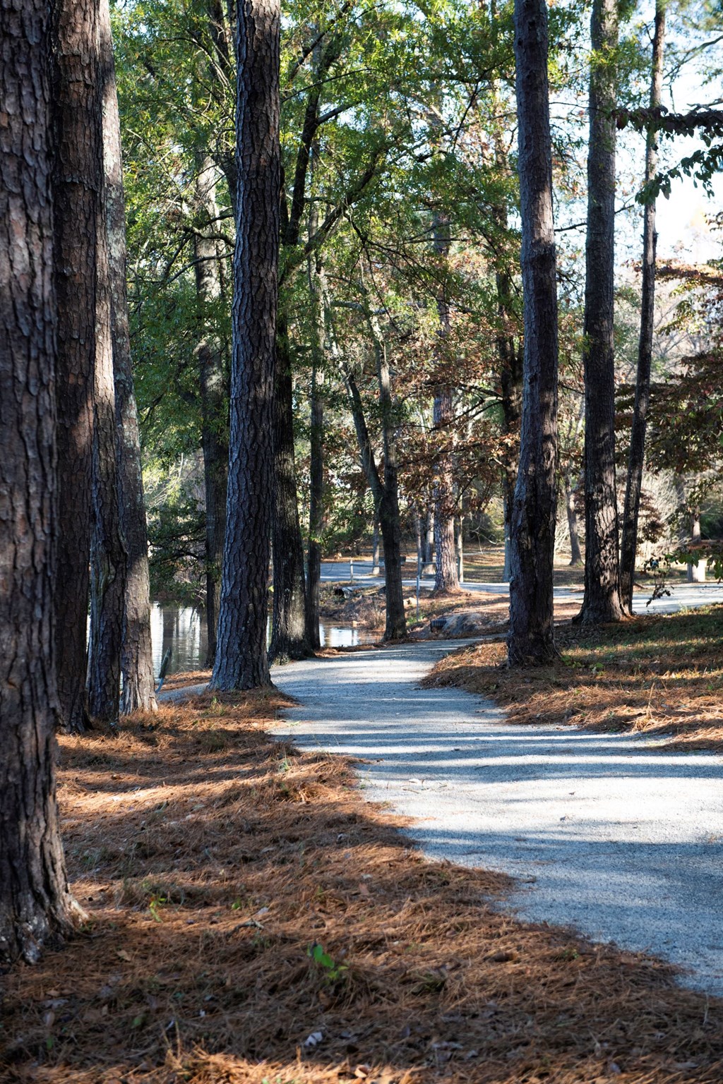 Walking Trail located at Venue at Carrolton in Carrolton, GA 30117