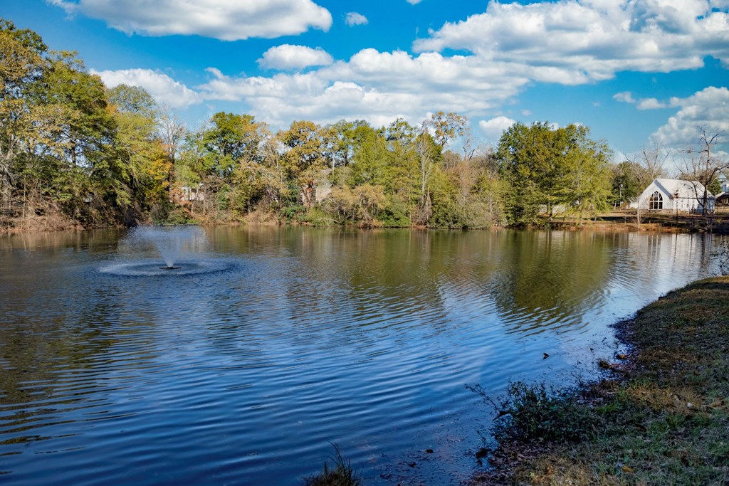 Pond with Fountain located at Venue at Carrolton in Carrolton, GA 30117