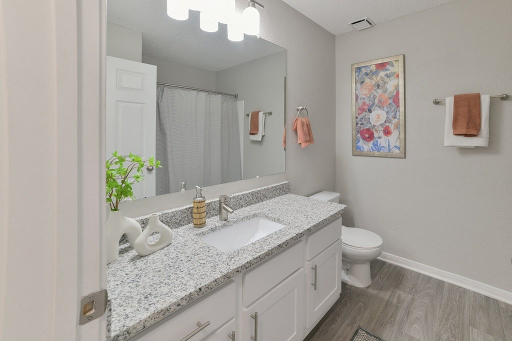 a bathroom with a sink and a toilet and a mirror at Twenty35 at Timothy Woods, Athens, GA, 30606
