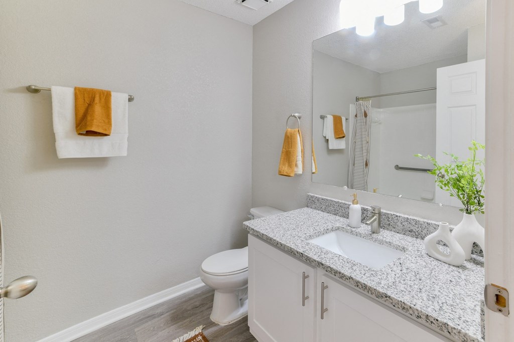 a bathroom with a sink and a toilet and a mirror at Twenty35 at Timothy Woods, Georgia
