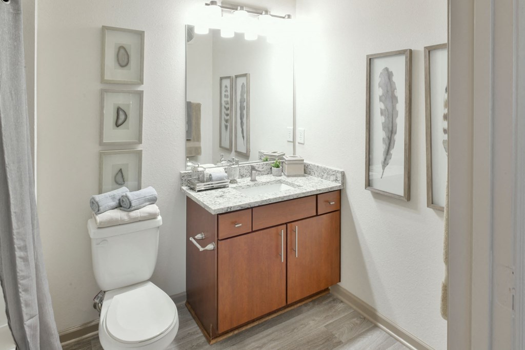 Bathroom Vanity and Toilet at Walden Oaks, Anderson, SC