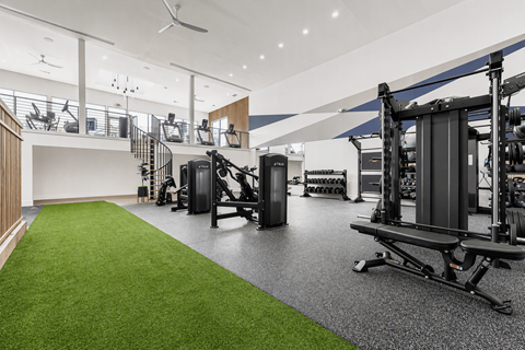 A gym with a green carpet and various exercise equipment.