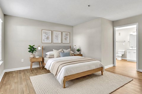 Primary Bedroom at Bridgewater Apartments, Georgia, 30096
