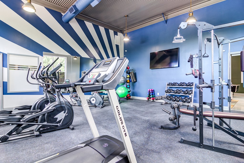 Two Level Fitness Center at Serene at Creekstone Apartments, Athens, GA, 30601