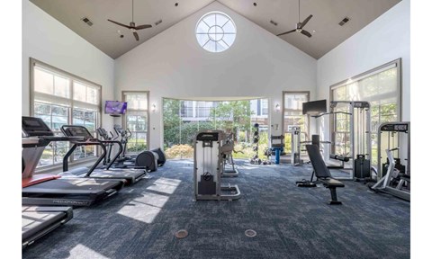 A gym with treadmills, weights, and a television.
