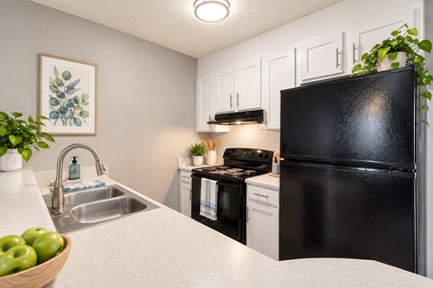 A black refrigerator is in a kitchen with a white counter.