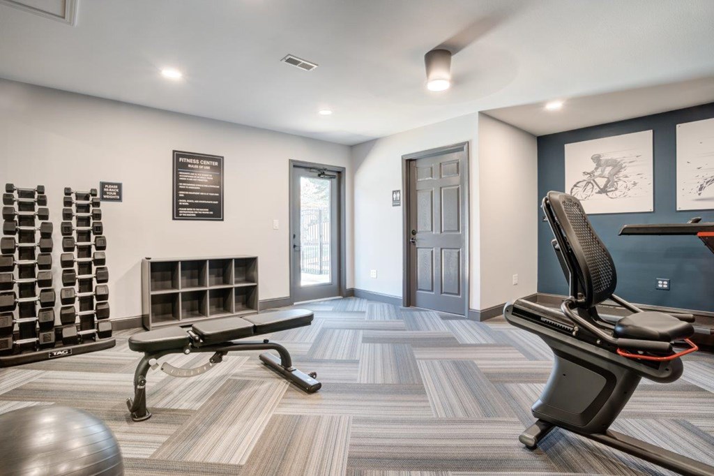 A gym room with a bench, weights, and a squat rack.