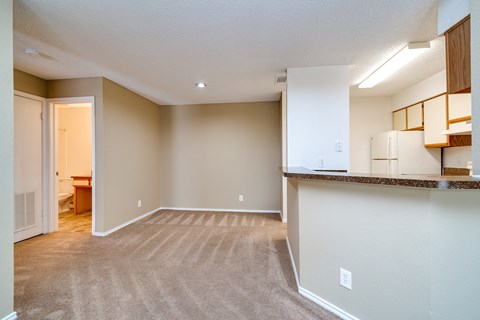 A spacious living room with a carpeted floor and a kitchen area in the background.