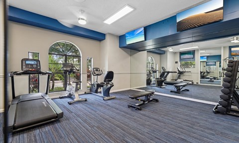 A gym with treadmills, exercise bikes, and other equipment.