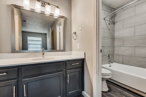A bathroom with a sink, mirror, and bathtub.