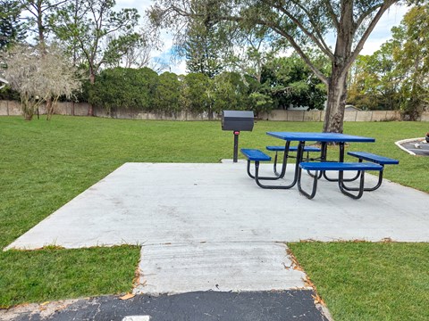 A picnic table with a mailbox in front of a tree.