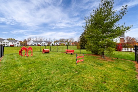A park with a red bench and a tree.